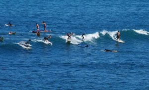 Activité au pays basque